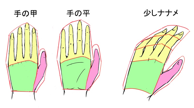 初心者向け 手の簡単な描き方 アタリや腕のバランスのコツも イラストレーター Webデザイナー 水無瀬翔一